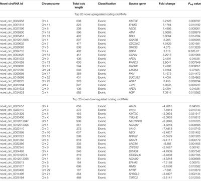 Circular RNA Expression and Regulation Profiling in Testicular Tissues of Immature and Mature Wandong Cattle (Bos taurus)